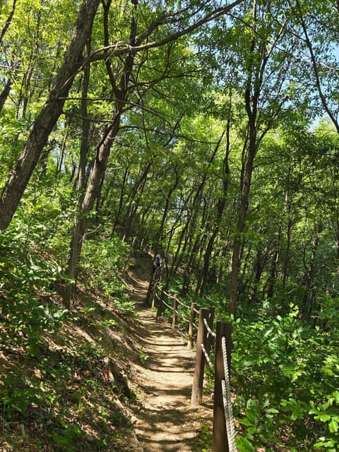 두리마루숲길 사진 2