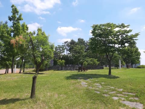 용인아르피아 체육공원 산책길 사진 3